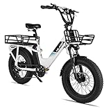 HILAND 20 Zoll 4.0 Fat Tire E Bike Cargo für Erwachsene, Aluminium Alloy Frame...