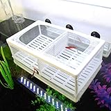 SENZEAL Aquarium Netz Ablaichbehälter Fisch Isolation Zuchttank Brutkasten...