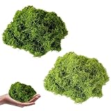 Tcnzdy 100g Moos, Moos Zum Basteln, Künstliches Moos Moos Deko Langlebig Moos...