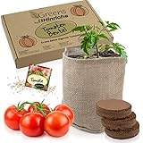 Hinrichs Greens Tomaten Anzuchtset - Tomatenanzuchtsset inkl. Samen und...