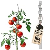 BigDean 10 Tomatenspiralstäbe 110cm voll verzinkt Tomatenstab Tomaten Ranke...