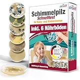 Schimmeltest für Baby- und Kinderzimmer – Schimmel Test zur Bestimmung der...