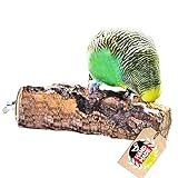 Vogelgaleria® Korksitzstange Wellensittich Nymphensittich 10cm| Kork Sitzstange...