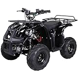 Actionbikes Motors Kinder Elektro Quad S-8 Farmer I 𝟭𝟬𝟬𝟬 Watt...