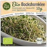 Little Plants Bio Bockshornklee Sprossen Samen [10g] - Bockshornklee-Samen -...