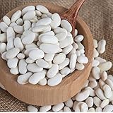 Soleilfood 2 kg weiße Bohnen getrocknet white beans Hülsenfrüchte Fasulye GMO...