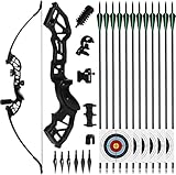 NorthSpoor 51' Archery Takedown Recurvebogen und Pfeil-Set für Erwachsene, 40lb...