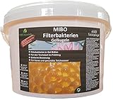 MIBO Filterbakterien Gelkugeln Filterstarter 2.500 ml ausreichend für 50.000,00...