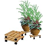 BigDean 2x Pflanzenroller eckig Buchenholz massives Holz 30 x 30 cm bis 120 Kg...