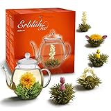 Creano Teeblumen Geschenkset - Erblühtee Frühjahrslese mit 500ml Glaskanne &...