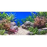 MIRRORANG 61x30cm Wasserpflanze Aquarium Hintergrund Stein Flussbett & See...