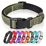 HEELE Hundehalsband, Hundehalsband aus Nylon, Reflektierend Halsband Hund mit...