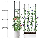 ThxToms Garten Rankhilfe aus Metall Kern 160CM mit 20*Pflanzenclips |...