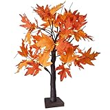 Ahornblatt Baum Lichter mit 24 LEDs Herbstdeko, Lichterbaum Für Innen Herbst...