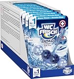 WC FRISCH Kraft Aktiv Blauspüler Chlor (10er Pack), WC Reiniger mit innovativer...