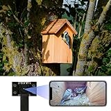 WIWACAM 4K Mini Kamera WLAN für Nistkästen, mit live übertragung auf Handy,...