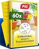 PIC Gelbsticker Trauermücken - 60x Gelbtafeln gegen Trauermücken, Effektiv...