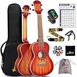 Winzz Ukulele Erwachsene Konzert 23 Zoll Anfänger Set Mahagoni-Holz, Kinder...
