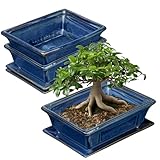 2er-Set Bonsai Keramiktopf Bonsaischale mit Untersetzer und...