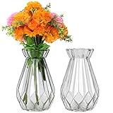 Belle Vous Transparente Vase aus klarem Kristall (2 Stück) – 15 cm –...