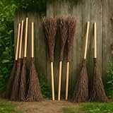 Reisigbesen Weide 160 x 45 cm mit Stiel 1 STK. - Natur Kehrbesen aus Weide