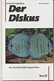 Der Diskus im Gesellschaftsaquarium