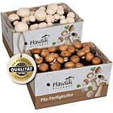 Hawlik Pilzbrut - Champignon Zuchtset - 2er Pilzzuchtbox Champignons Komplettset...