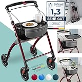 maxVitalis Wohnungsrollator 54cm breit, faltbar und leicht, inkl. Tablett &...