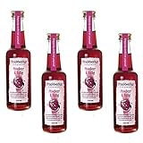 Fruchtwerker | Himbeer & Essig | Mit Saft aus echten Früchten| 4er Pack | 4x...