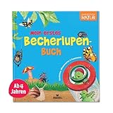 Mein erstes Becherlupen-Buch: Geschichten, Wissenswertes & Experimente