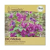 Samenliebe BIO Malven Samen | Heilpflanze - Wildblume - samenfestes BIO Saatgut