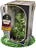 PURPLE LEGACY® 1680D Oxford Grow-Box 100x100x200 cm für Profis mit...