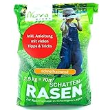 Rasensamen schnellkeimend Schattenrasen 2,5kg = 70m² Herbst - SEHR GUT getestet...
