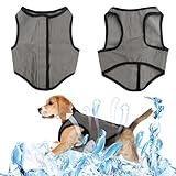 5 Größen Hunde Kühlweste, Sommer Abkühlung Jacket Grau für Hund,...