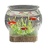 Dzqad Rundes Fischglas, Aquarien Fischschalen, Tischaquarium für Kampffische...