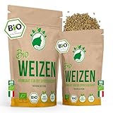 NanaNatura's Bio Weizen Sprossen Samen 180g | Keimfähige Weizensamen zur...