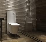 Weißglas Sanitärmodul für Wand-WC inkl. Betätigungsplatte