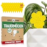 Super Ninja Trauermücken Bekämpfen - 60er Pack, hochwirksame Gelbtafeln für...