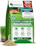 Rasensamen schnellkeimend Frühjahr 0,5kg 20qm - TEST SEHR GUT - Schnell...