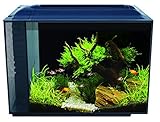 Fluval Spec XV Aquarium, mit 60L Fassungsvermögen, in schwarz, 1 Stück (1er...