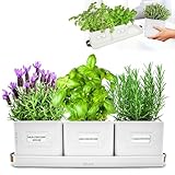 Green Thumbz 3 STK. Kräutertopf - Kräutertöpfe für Deinen Kräutergarten und...