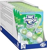 WC-Frisch Kraft Aktiv Pro Nature Minze und Eukalyptus (10er Pack), WC-Reiniger...