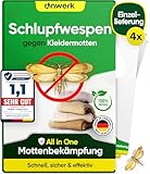 anwerk® Schlupfwespen gegen Kleidermotten - 4 Karten à 1 Lieferungen -...