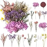 LAUMOE Getrocknete Blumen, Trockenblumen, Trockenblumen Zum Basteln Mini...
