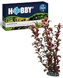 HOBBY Aquaristik Ludwigia I 34 cm I künstliche Aquarienpflanze I pflegeleichte...
