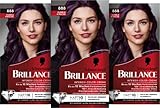 Brillance Intensiv-Color-Creme 888 Dunkle Kirsche (160 ml), dauerhafte Haarfarbe...