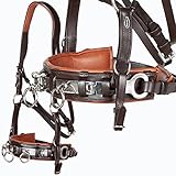 Heinick-Reitsport Profi Leder KAPPZAUM Edelstahl mit Gebissriemen Naseneisen ~...