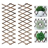 yeesport Expandable Plant Trellis 2 Pcs, Holz Trennwand Pflanzer Gartenzaun...