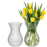 KONZEPT Blumenvase Glas 18 cm Hoch, ⌀ 11 cm, Set 2 STK. Vase für Tulpen...