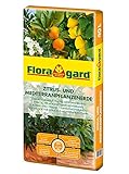 Floragard Zitrus-und Mediterranpflanzenerde 40 Liter - Zitruspflanzenerde -...